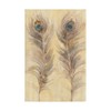 Trademark Fine Art Albena Hristova 'Blue Eyed Feathers' Canvas Art, 12x19 WAP10643-C1219GG